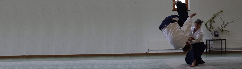 Schau Aikido
